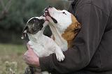ADULTE ET CHIEN 076
